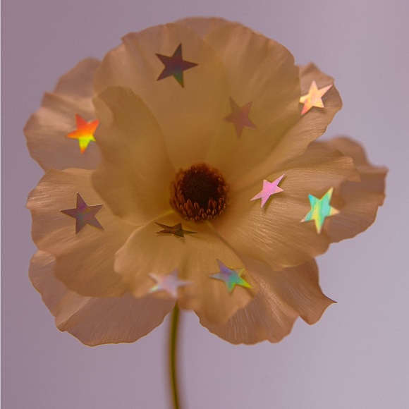 Meet your Posher, Reannan - Picture 1 of 1